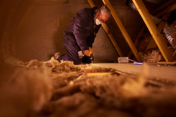 Best Insulation for Specific Applications in Alta, IA